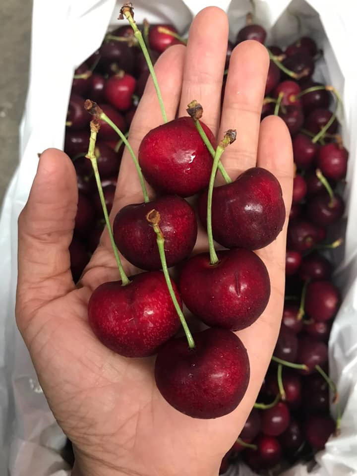 ร้านผลไม้ออนไลน์