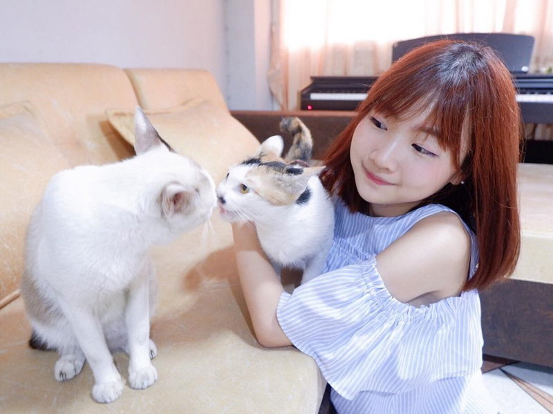 สัตว์เลี้ยงเมมเบอร์วง bnk48