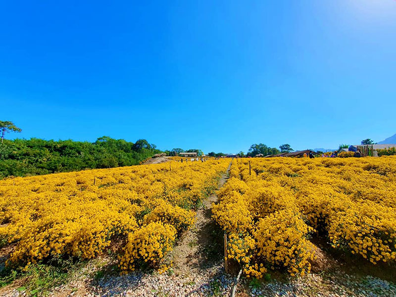 สวนดอกไม้เขาใหญ่