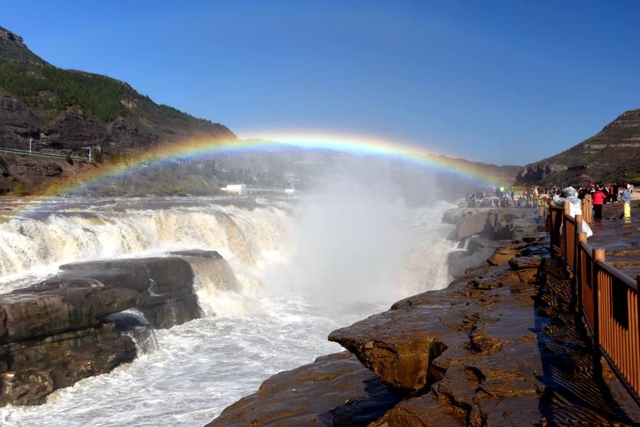 ภาพแห่งปี