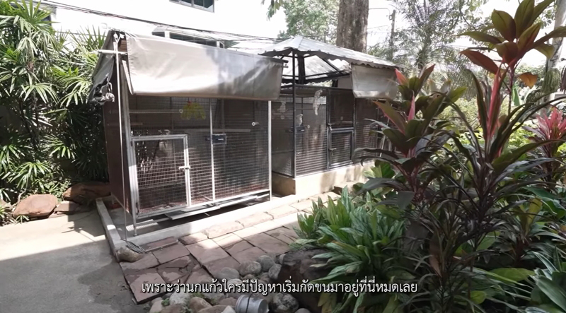 บ้าน คริสติน่า อากีล่าร์ กรงนกกระตั้ว