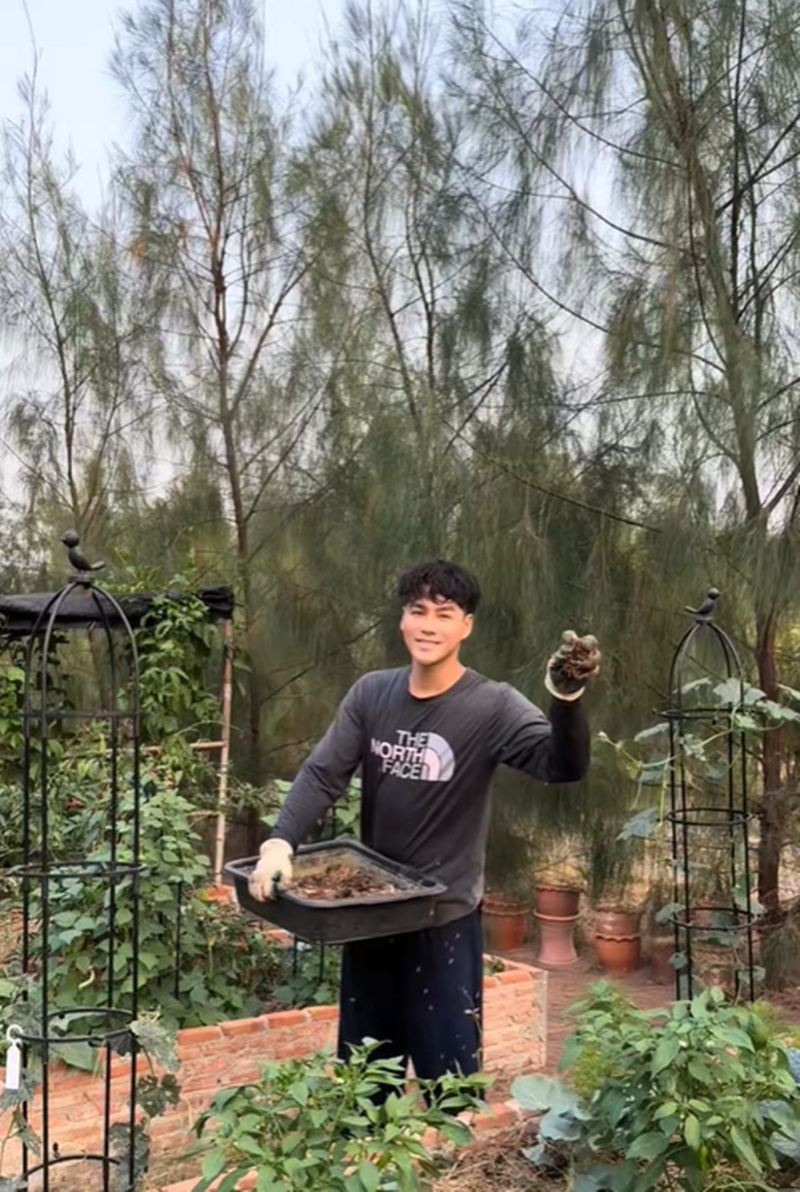 เพ็ชร ฐกฤต