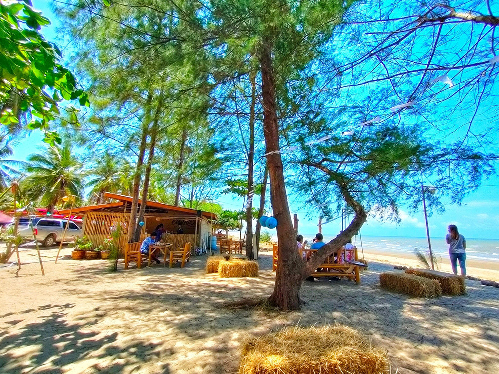 คาเฟ่สุราษฎร์ธานี