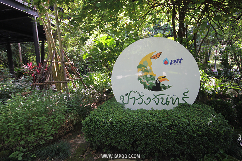 คนสายกรีน