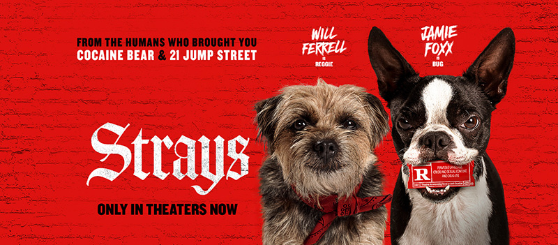 Strays ชีวิตหมาต้องไม่หมา
