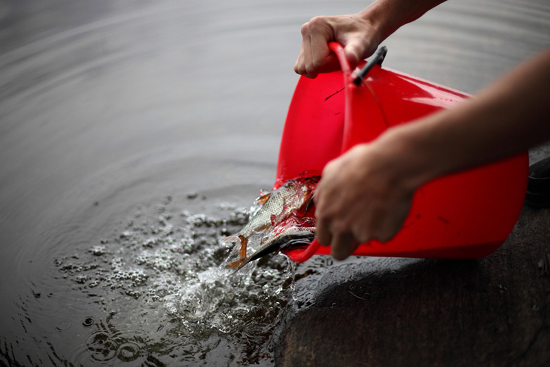 แก้เคล็ดดวงตก