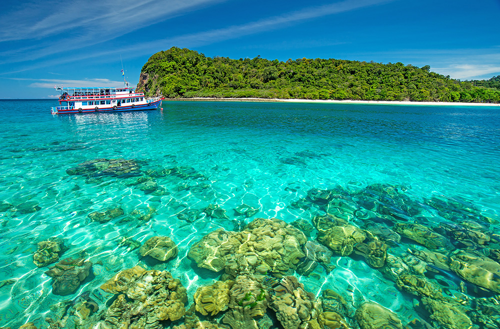 เกาะรอก ทะเลกระบี่