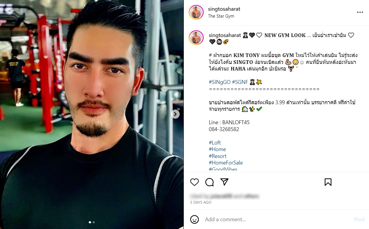 สิงโต เดอะสตาร์ 