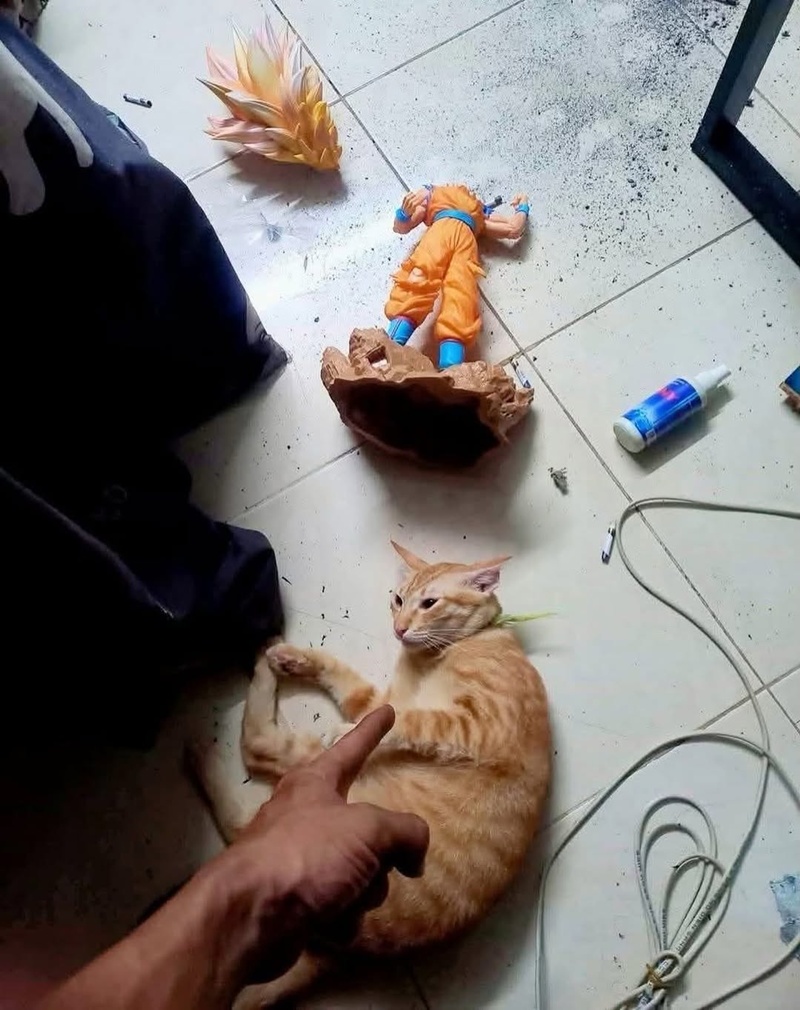 หุ่นฟิกเกอร์