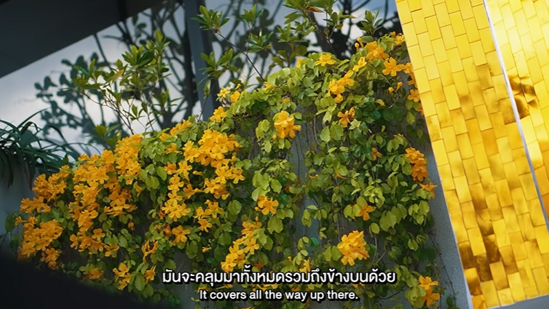 บ้าน ดีเจมะตูม