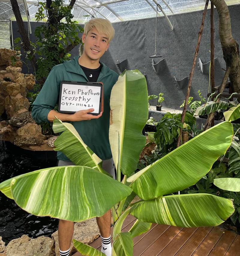  เคน ภูภูมิ 