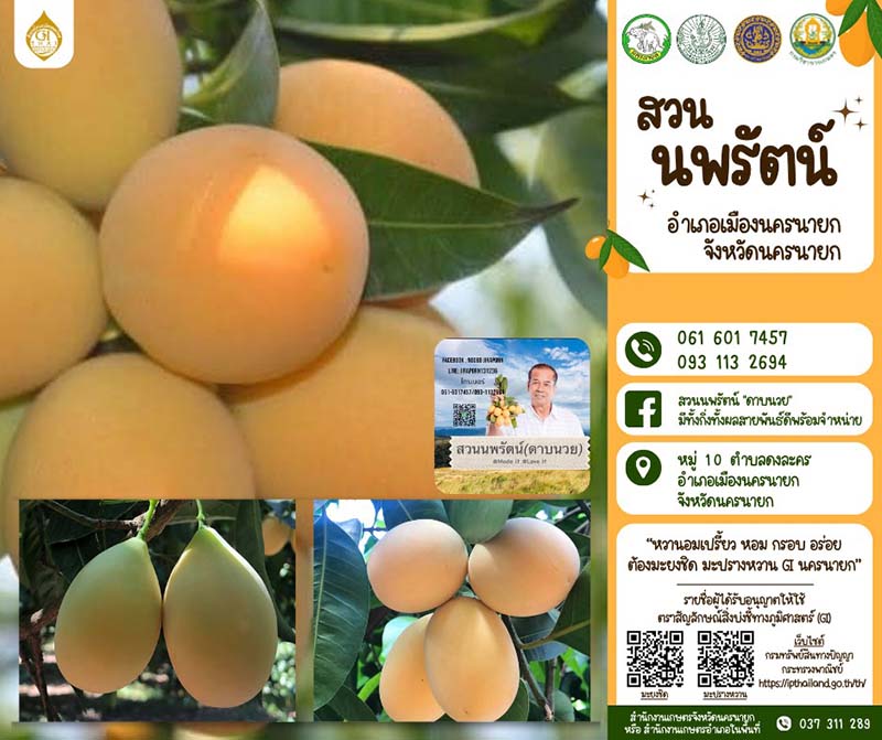สวนนพรัตน์