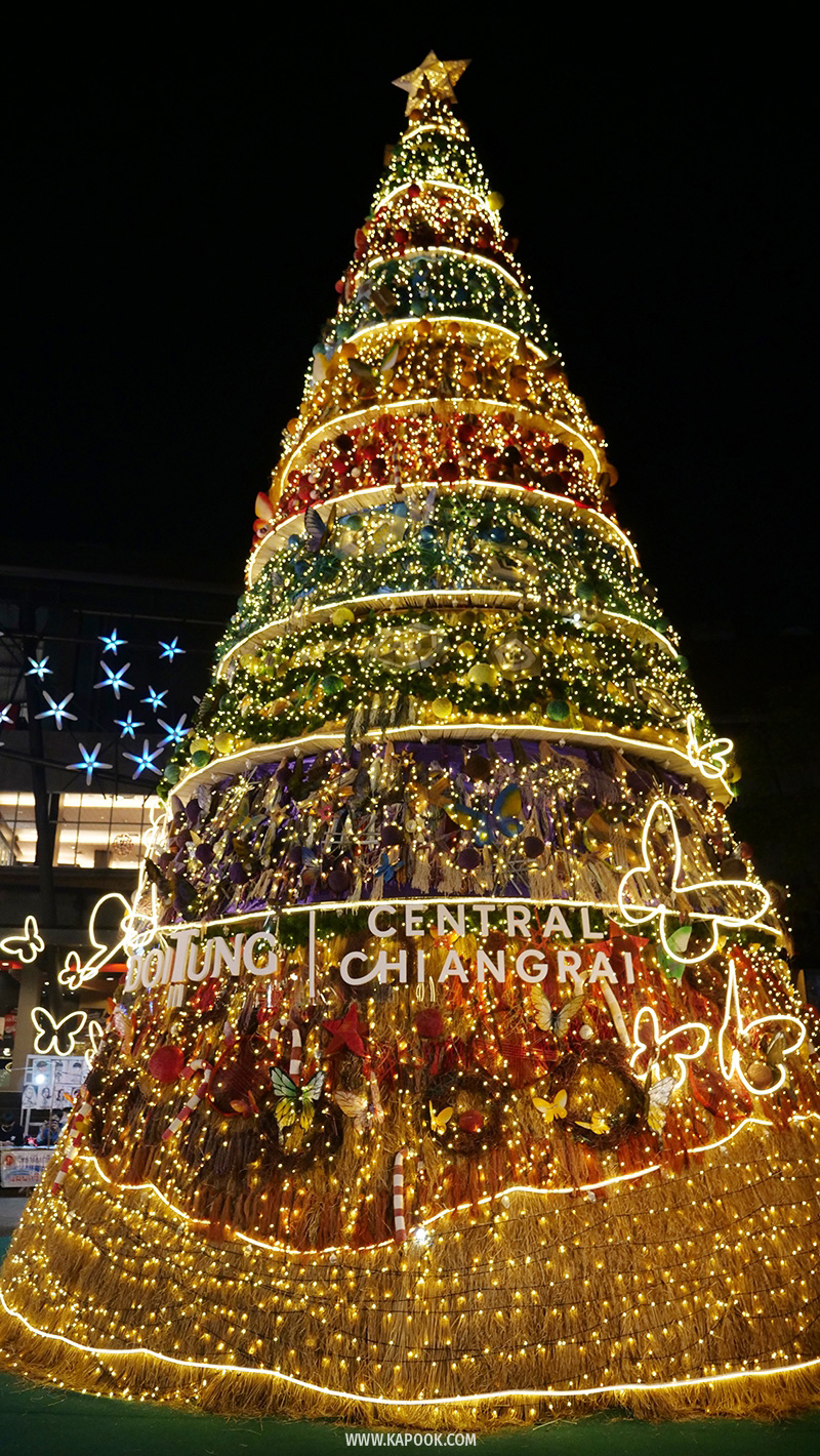 ดูไฟคริสต์มาส