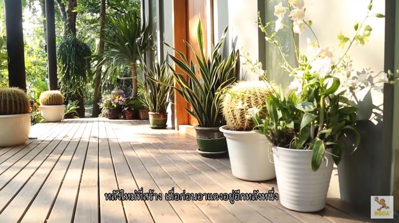 บ้านต๋อย ไตรภพ