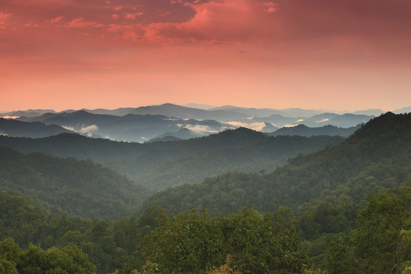 พื้นที่กลุ่มป่าแก่งกระจาน