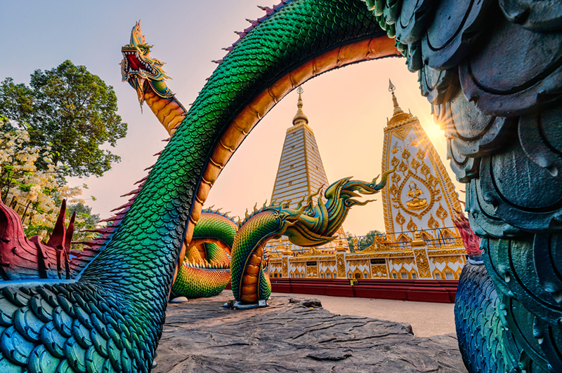 วัดพระธาตุหนองบัว