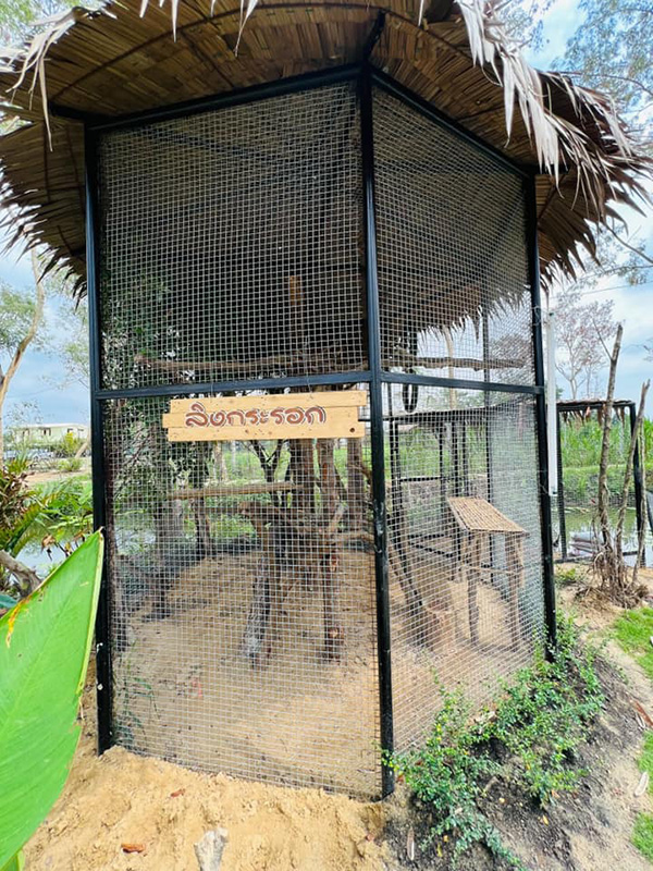 Mini Zoo ธัญบุรี
