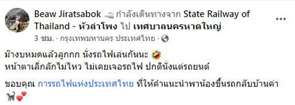 เจ้าหมูทะ แมวหลงบนทางด่วน
