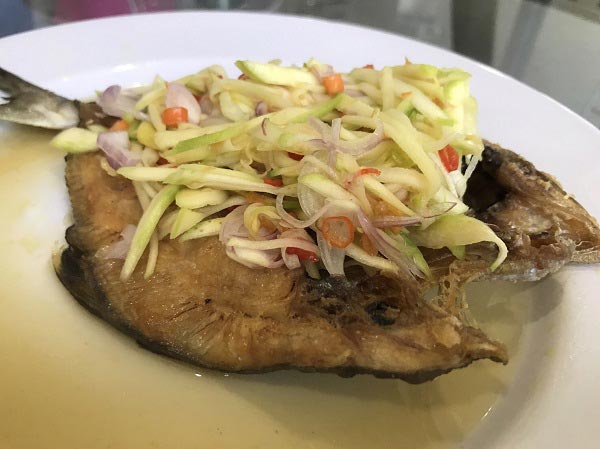 ปลาสำลี