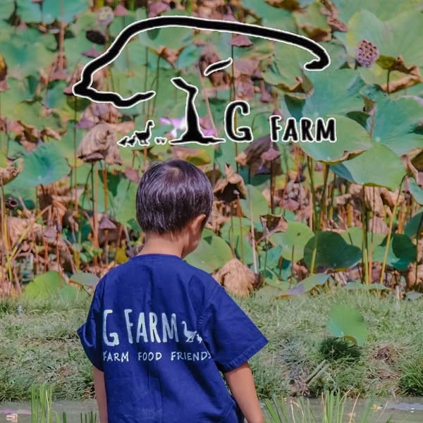 GFarm ฟาร์มและคาเฟ่เด็ก