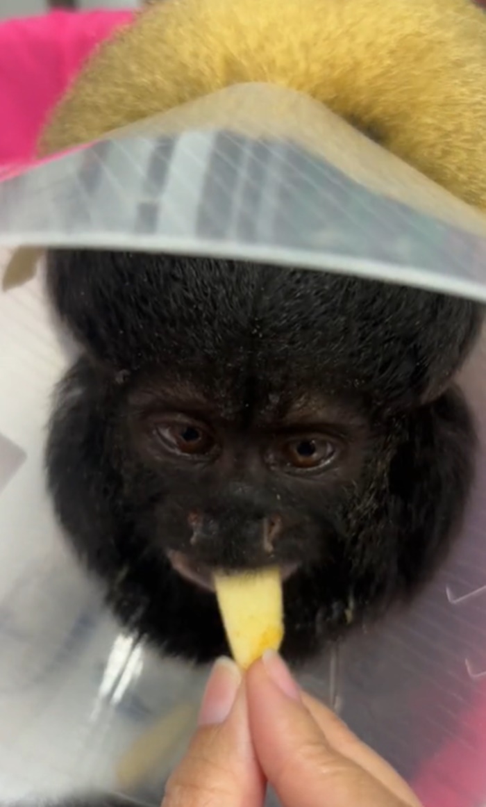 ชื่อคนไข้