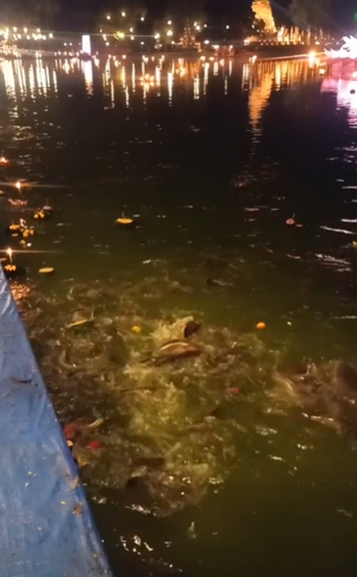 ลอยกระทง