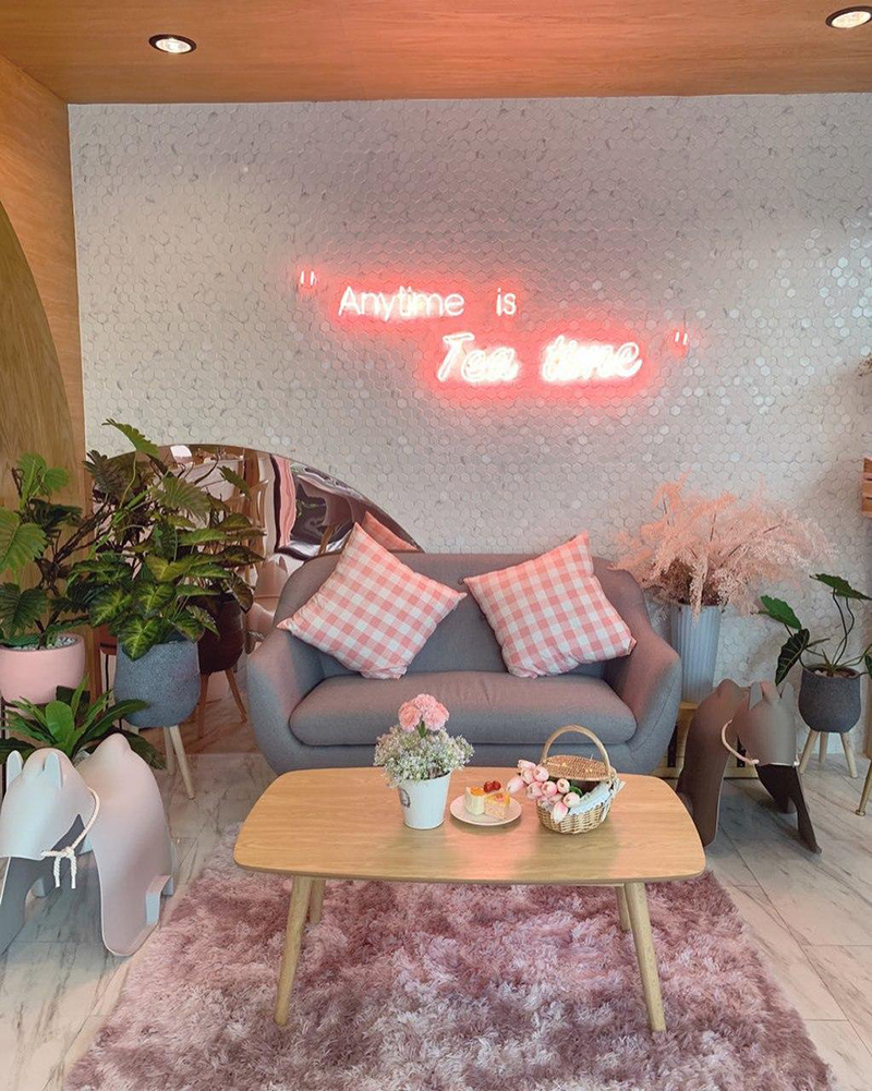 ปุ๊กลุก ฝนทิพย์ ไมค์ ภัทรเดช ร้านชาไข่มุก