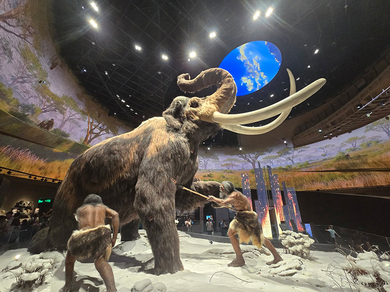Natural History Museum Shenzhen ที่เที่ยวเซินเจิ้น