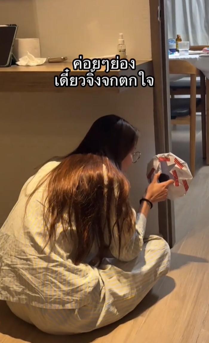 จิ้งจกเข้าบ้าน