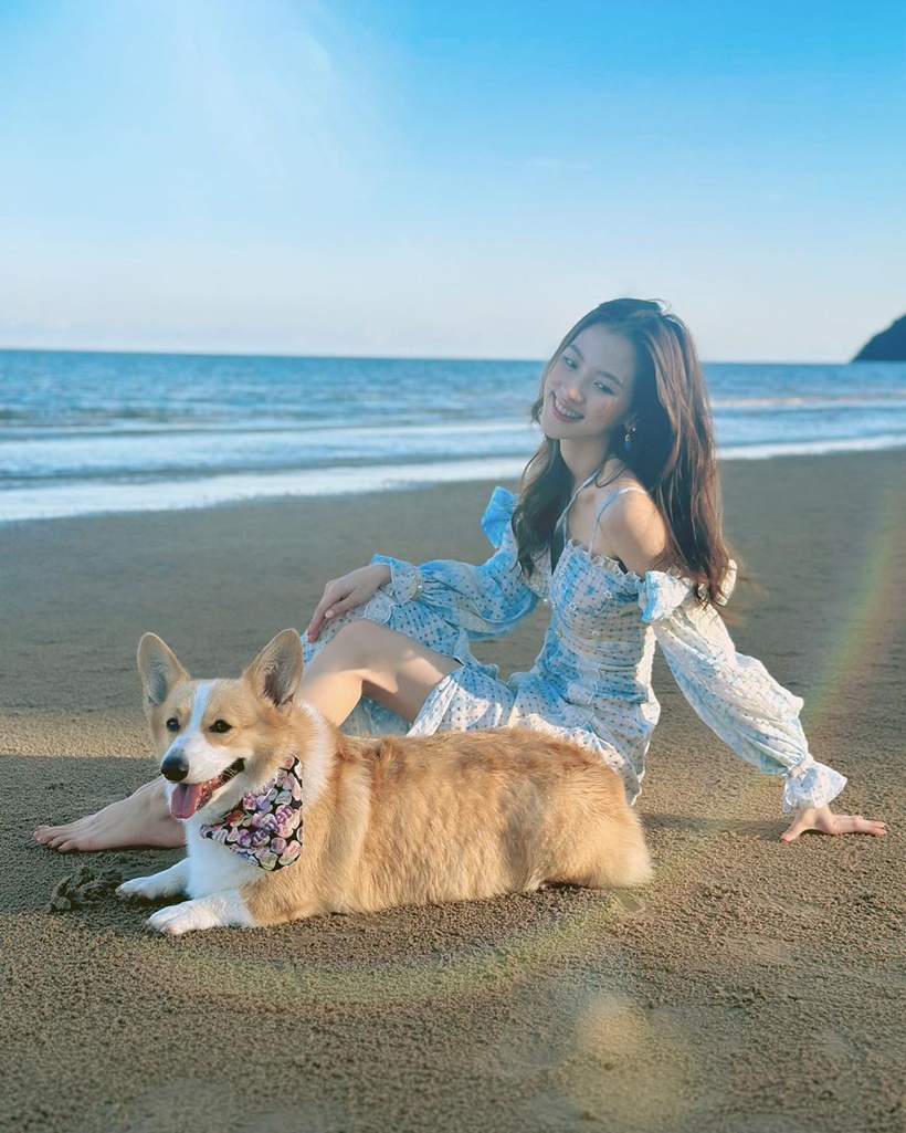 ใบเฟิร์น พิมพ์ชนก