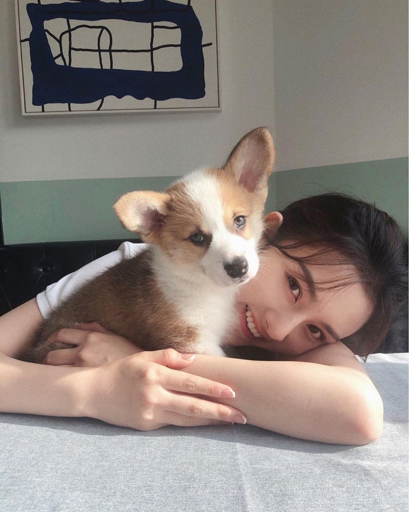 ซ่งจู่เอ๋อร์  