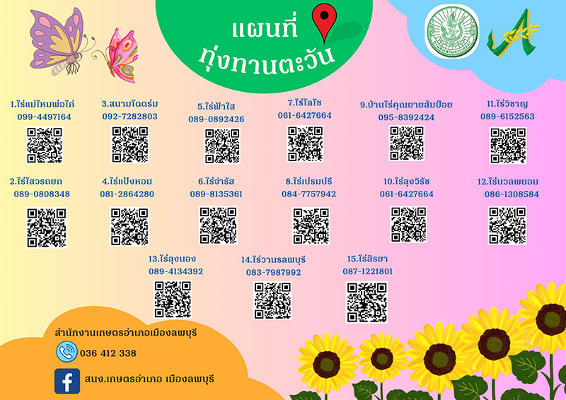 ทุ่งทานตะวัน 2568 ลพบุรี