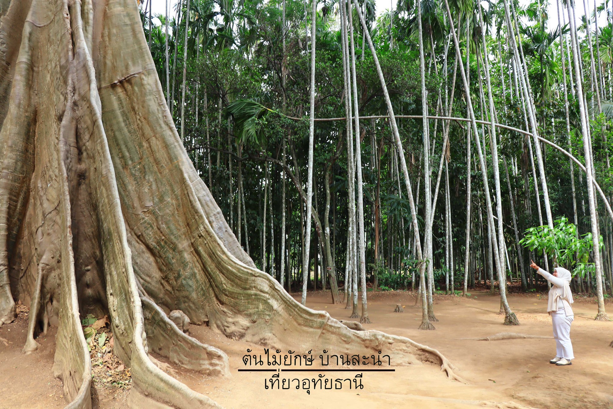 เที่ยวอุทัยธานี 3 วัน 2 คืน
