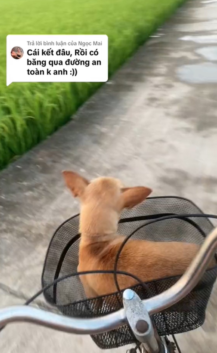 ปั่นจักรยาน
