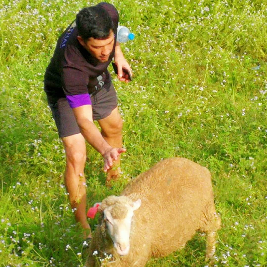 โจโจ้ ไมอ๊อคชิ