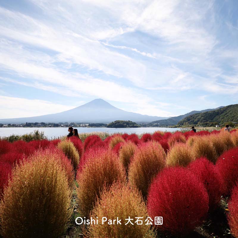 จุดชมภูเขาไฟฟูจิ 