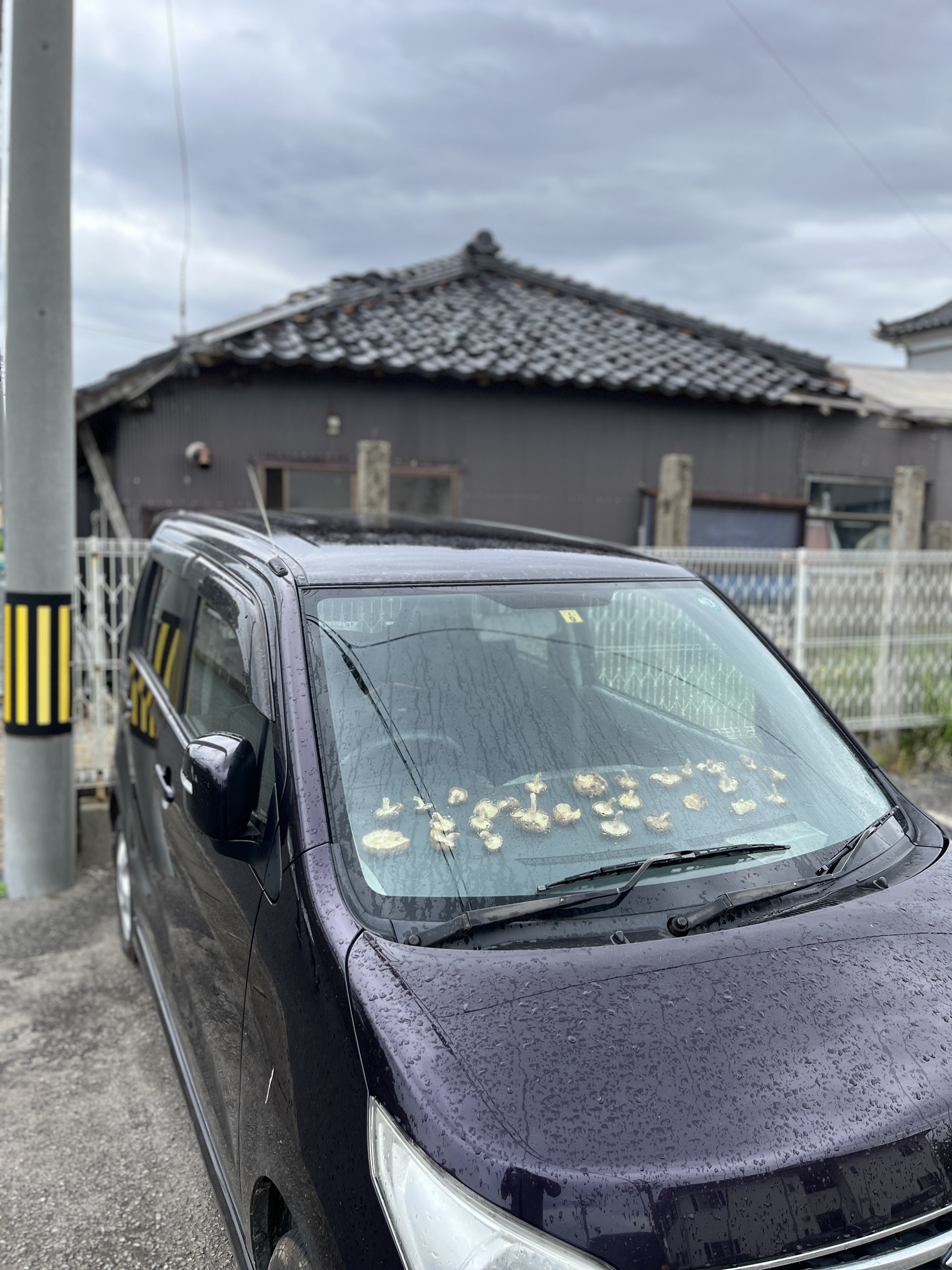 ตากเห็ดหอม