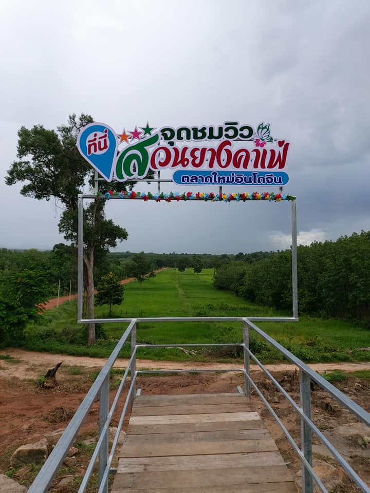 คาเฟ่ในสวนยาง