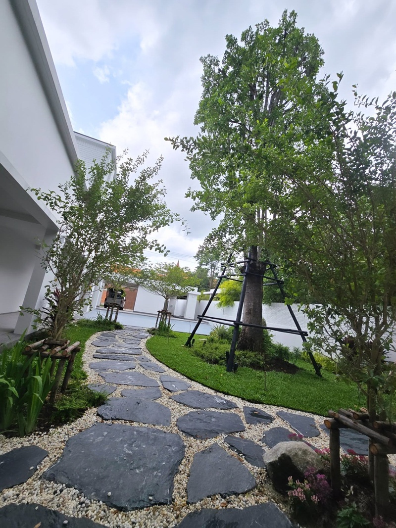 บ้านเต๋า สมชาย