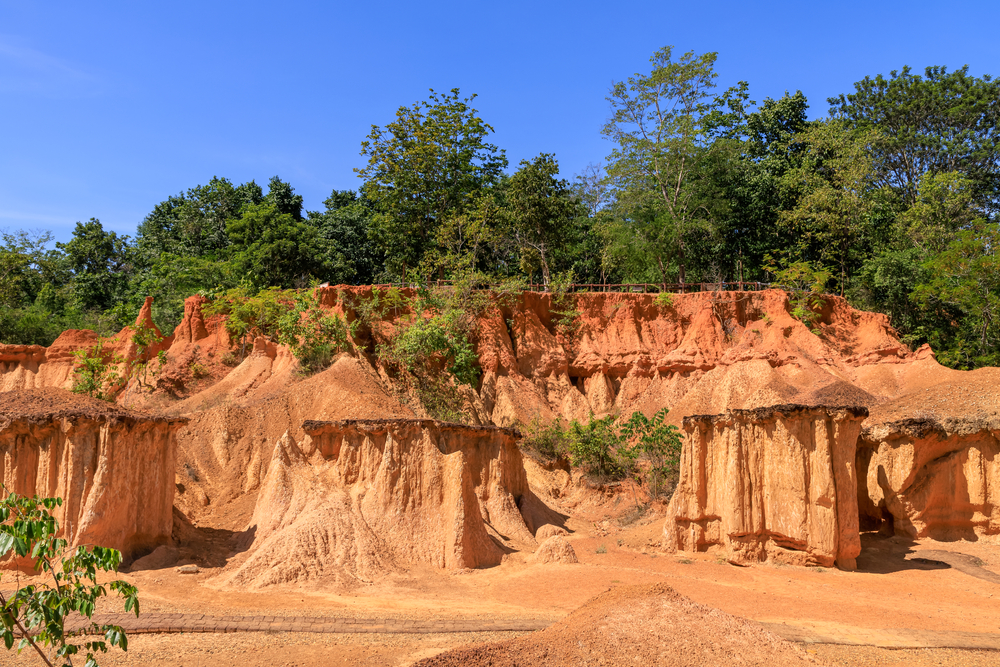 แพะเมืองผี