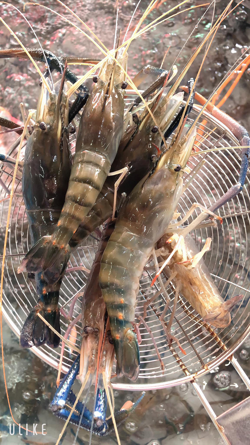 ร้านอาหารทะเลสด