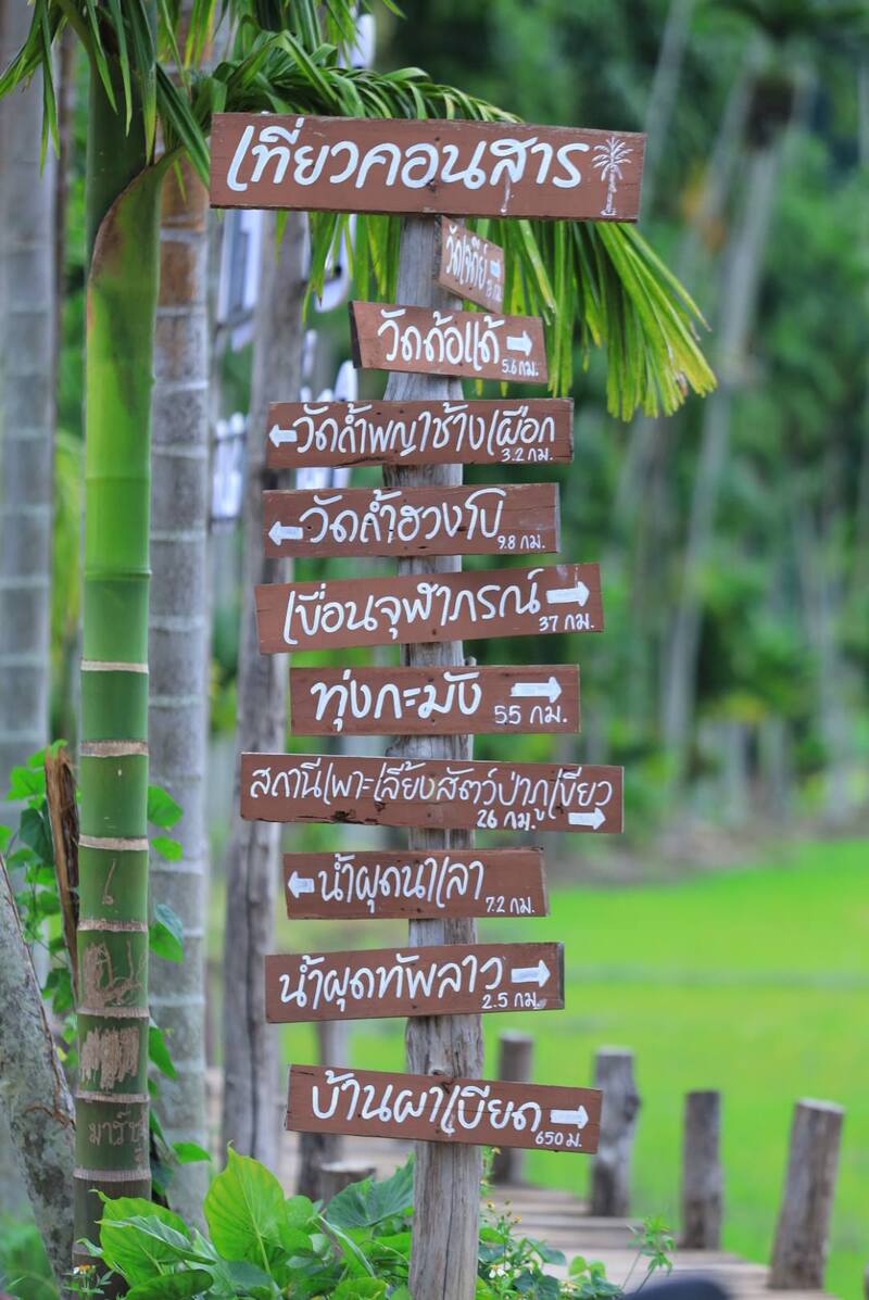 ทิวหมาก บ้านผาเบียด ชัยภูมิ