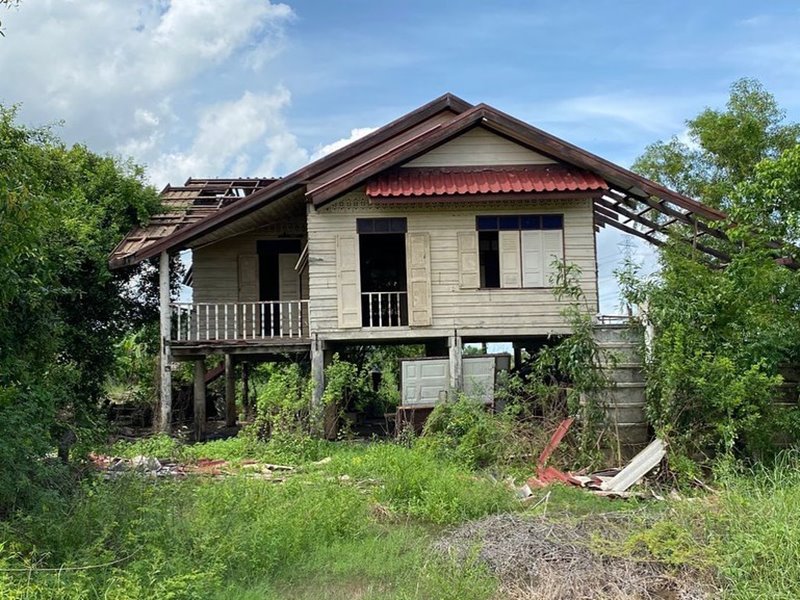 มอส ปฏิภาณ