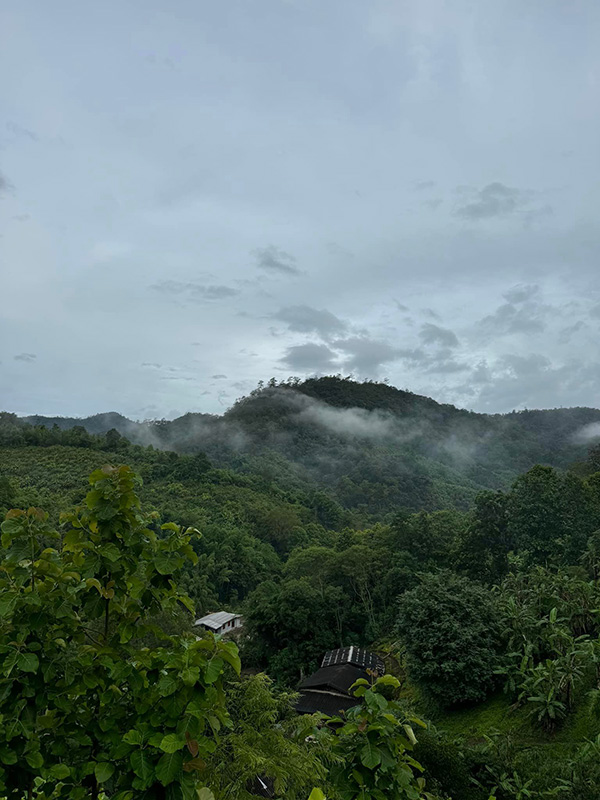 Yazama Homestay ที่พักวิวภูเขา