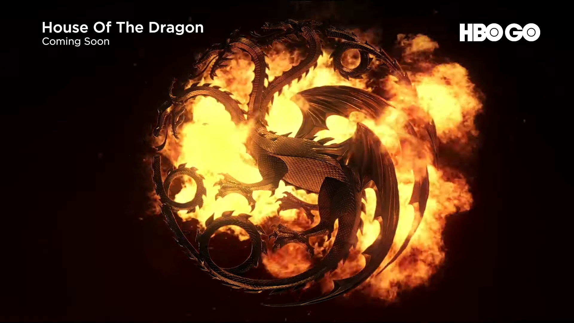 House Of The Dragon