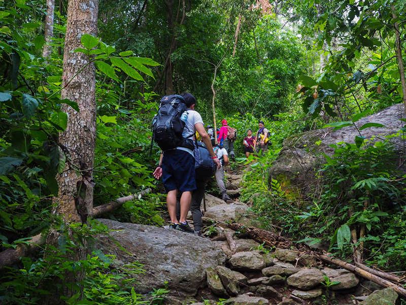 เขาหลวง 2567
