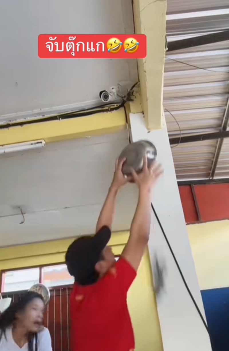 จับตุ๊กแก