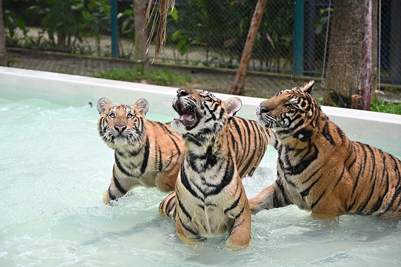 ที่เที่ยวสวนสัตว์ ใกล้กรุงเทพฯ