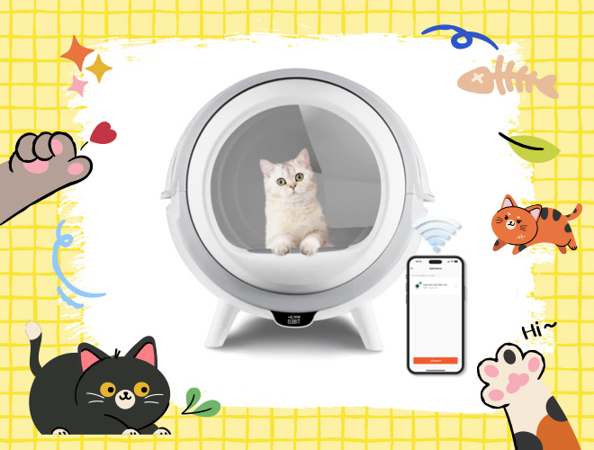 ห้องน้ำแมวอัจฉริยะ น่าซื้อ 2569
