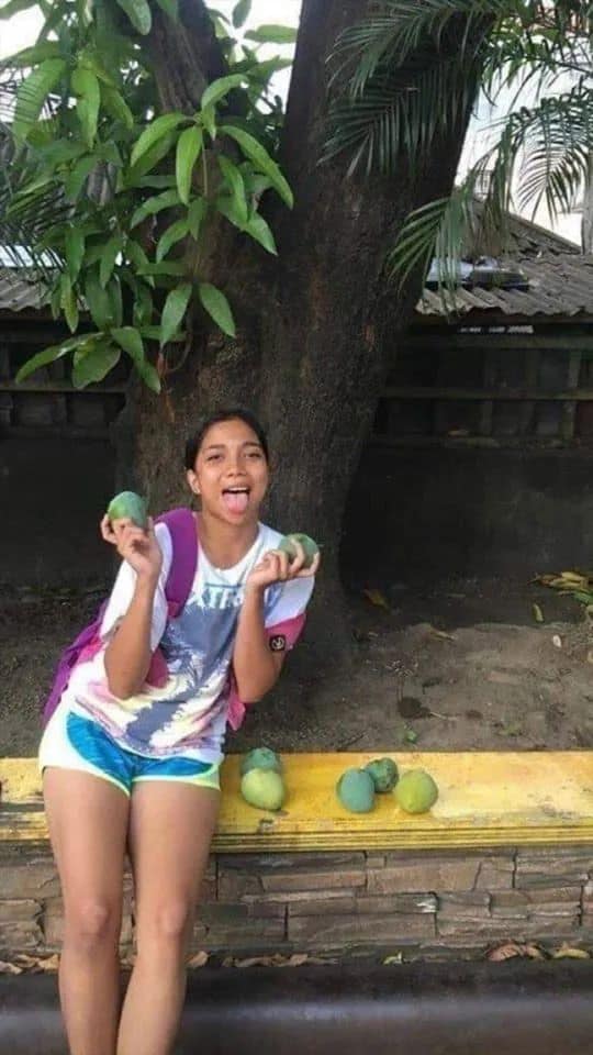 เก็บมะม่วง